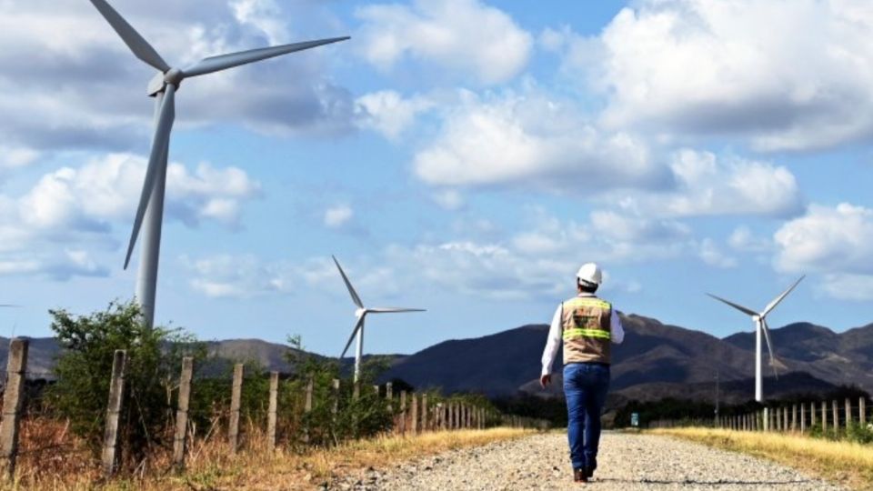 Iberdrola ha sido certificada el presente año en otros nueve países: España, Reino Unido, Estados Unidos, Brasil, Alemania, Francia, Italia, Australia y Grecia. 