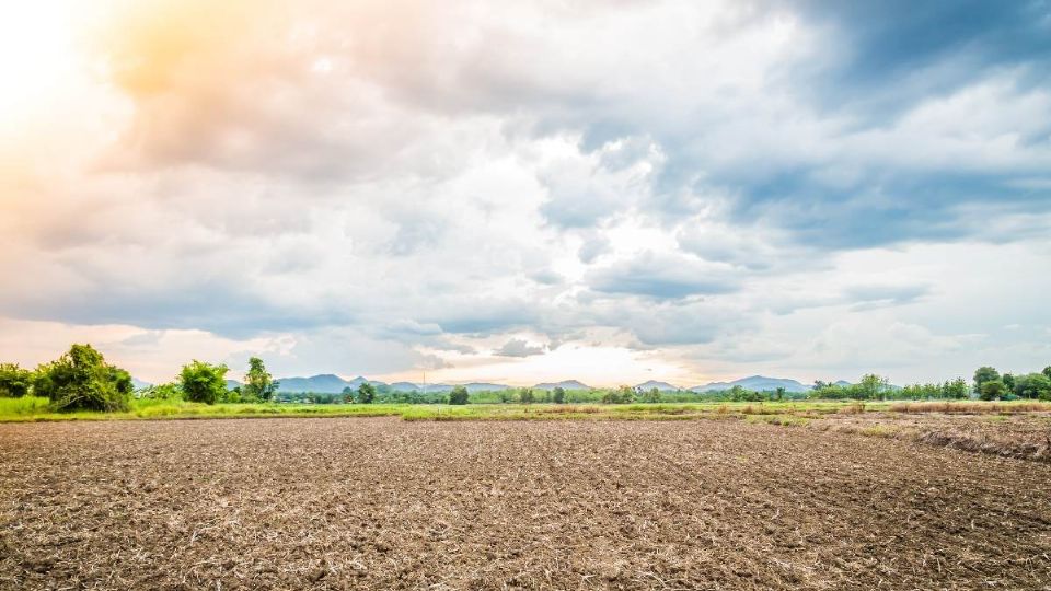 Expertos señalan no confiar en 'gangas' cuando se refiere a la venta de una terreno