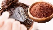 Foto ilustrativa de la nota titulada: ¿Tinte de cacao? Así lo puedes usar en el acondicionador para cubrir tus canas sin dañar el cabello