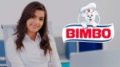 Foto ilustrativa de la nota titulada: BIMBO lanza nuevas VACANTES DESDE CASA, ofrece vales de despensa, seguro médico y descuentos exclusivos