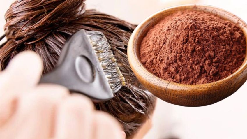 ¿Tinte de cacao? Así lo puedes usar en el acondicionador para cubrir tus canas sin dañar el cabello