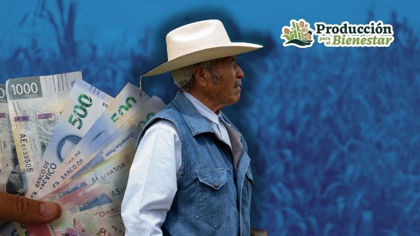 Producción para el Bienestar: requisitos para obtener el apoyo de 24 mil pesos si cosechas maíz y frijol