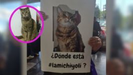 Foto que representa a Buscan a “Michi Yoli”: desapareció en un autobús con dirección a Zacatecas, la empresa sigue sin dar respuesta