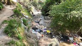 Foto que representa a Retiran 15 toneladas de desechos en barrancas de Tlapechico en Álvaro Obregón