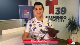 Foto que representa a Hallado sin vida en un hotel y una mujer detenida, las claves de la muerte del periodista mexicano Adán Manzano