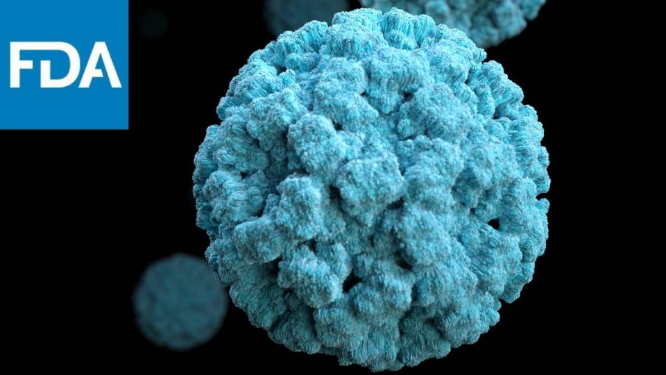 El norovirus se encuentra en ostras.