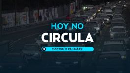 Foto que representa a Hoy No Circula: ¿qué autos descansan este MARTES 11 de marzo en CDMX y Edomex?