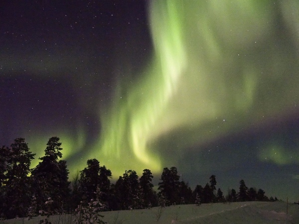 Aurora Boreal en Alaska. FOTO: Pixabay