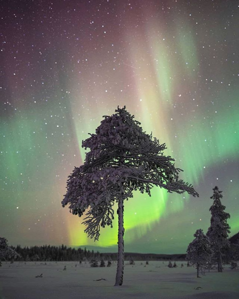 Aurora boreal. Foto: Instagram @umeaaurorahunters.