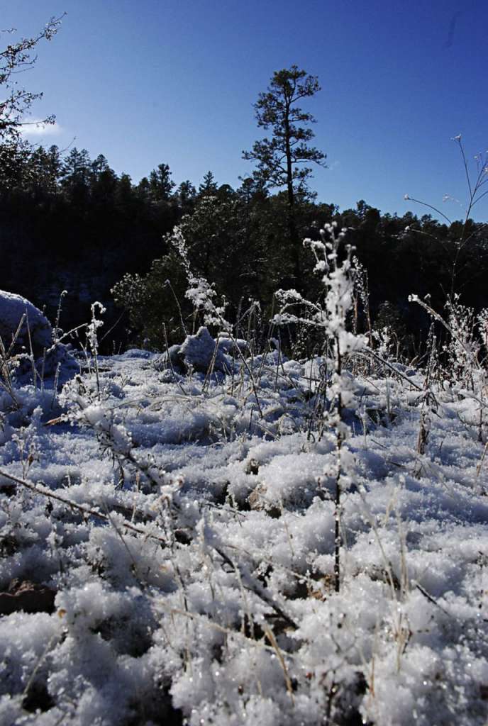 La Rosilla, Durango. Foto: Cuartoscuro