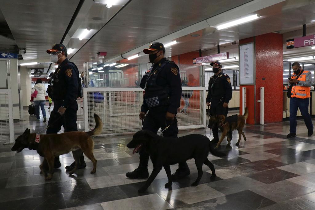 binomios-caninos-metro